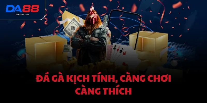 Đá gà kịch tính, càng chơi càng thích