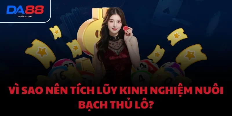 Vì sao nên tích lũy kinh nghiệm nuôi bạch thủ lô?